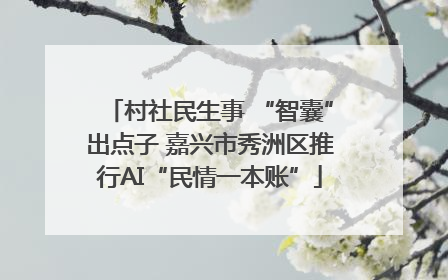 村社民生事 “智囊”出点子 嘉兴市秀洲区推行AI“民情一本账”